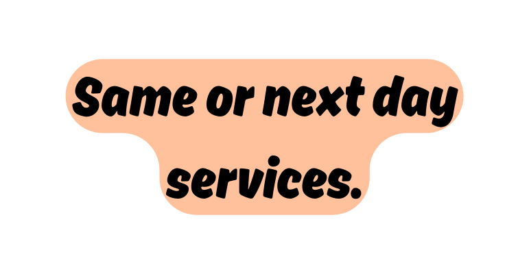 Same or next day services